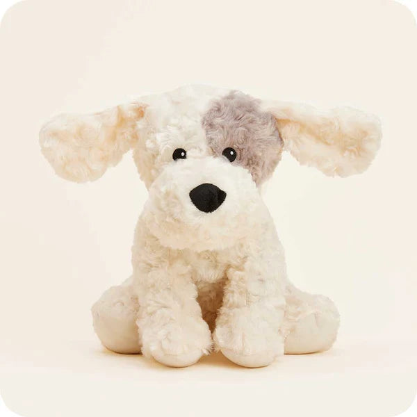 Patch Curly Dog